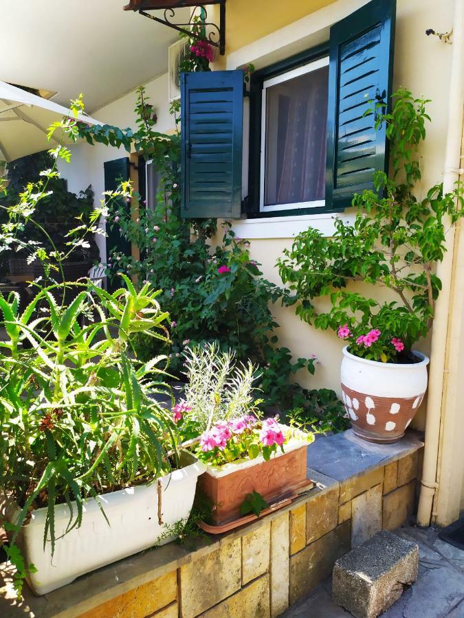 Grivas Apartments Syvota Exterior photo